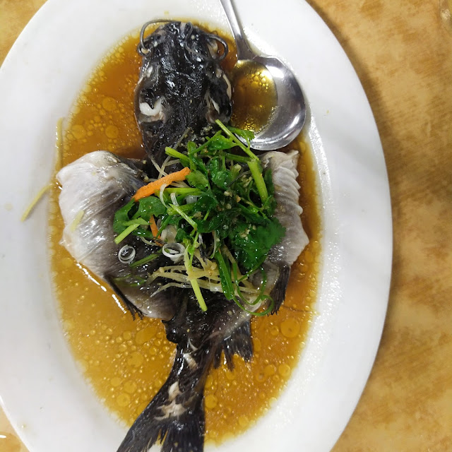 Cat Fish Steamed