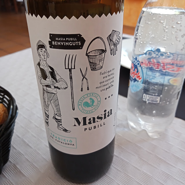 Vino Tinto Masía Pubill