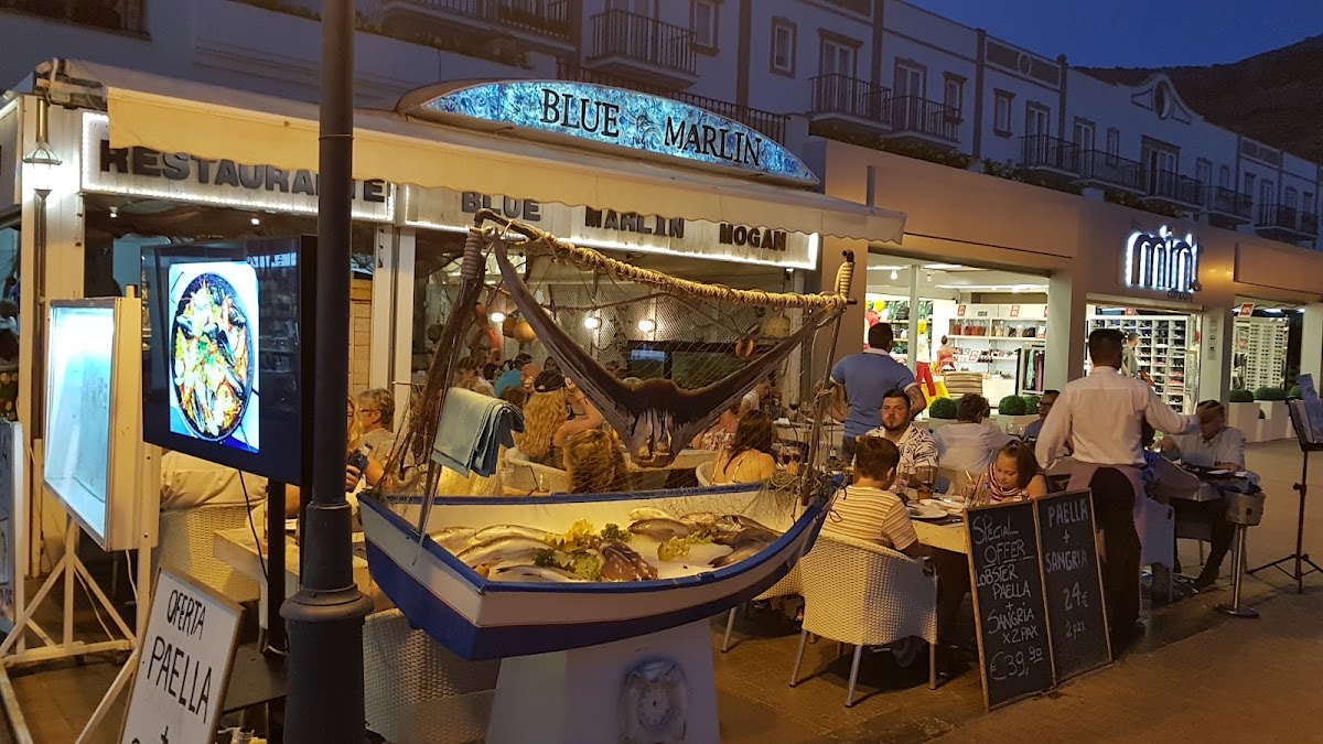 Blue Marlin