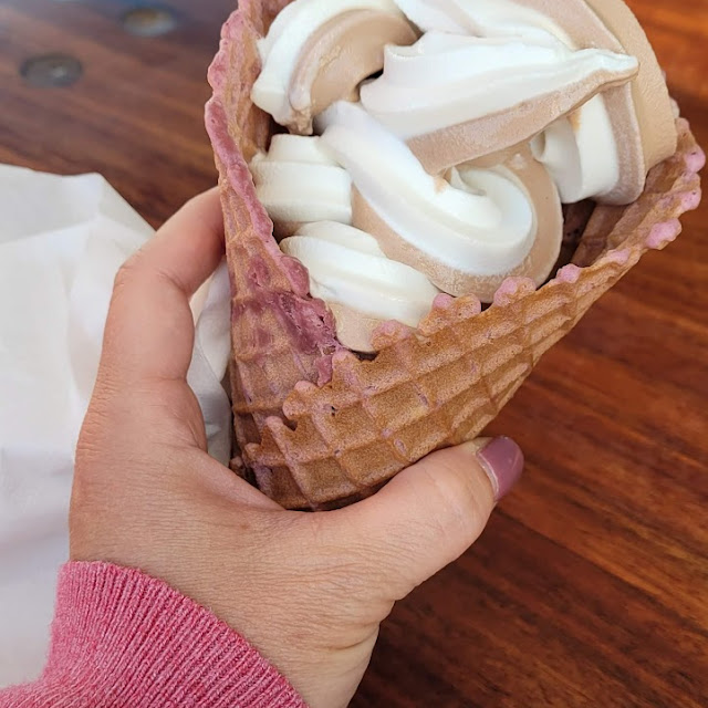 Chocolate Vanilla Swirl Ice Cream with Blueberry Waffle Cone
