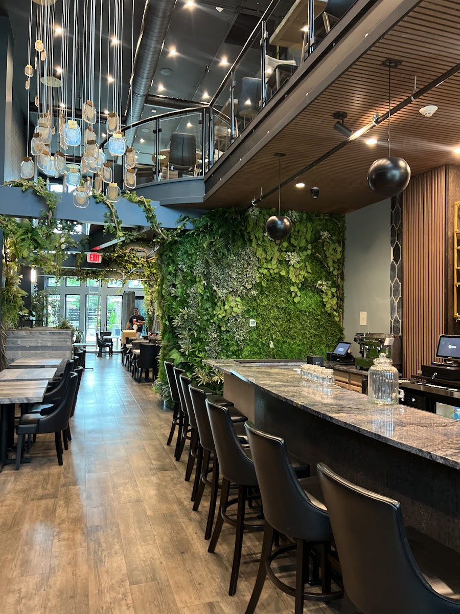 Moxie Modern