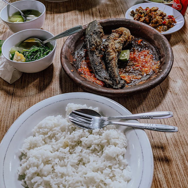 Lalapan Lele