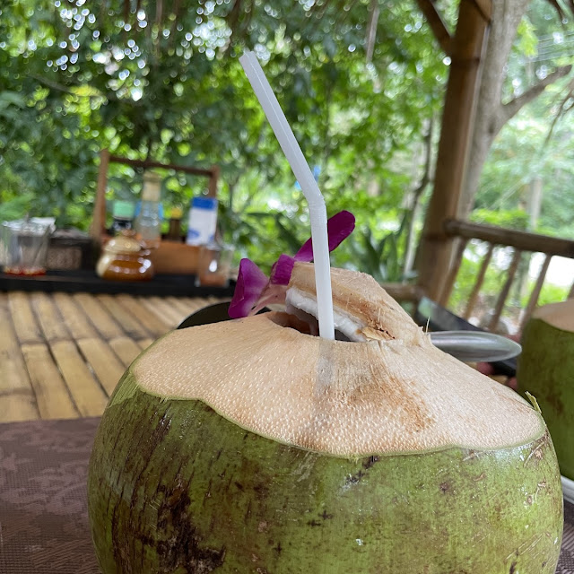 Fresh Coconut Juice