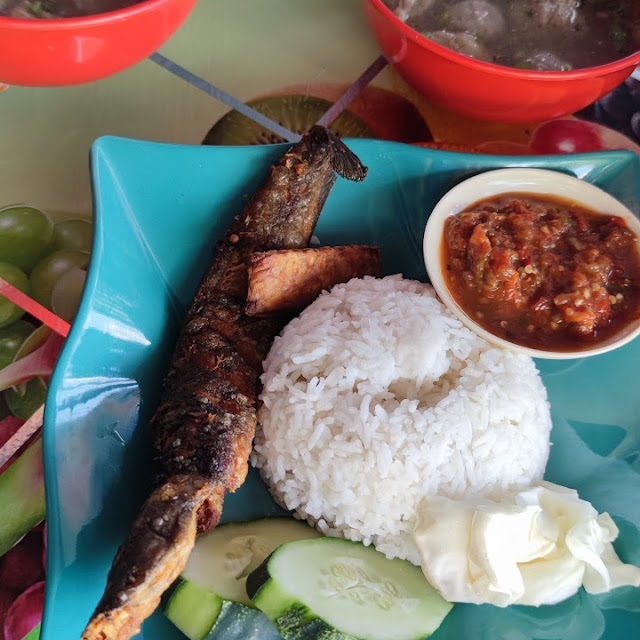 Pecal Lele