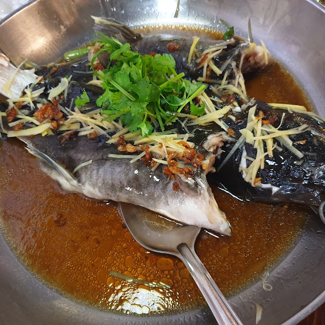 清蒸白须公