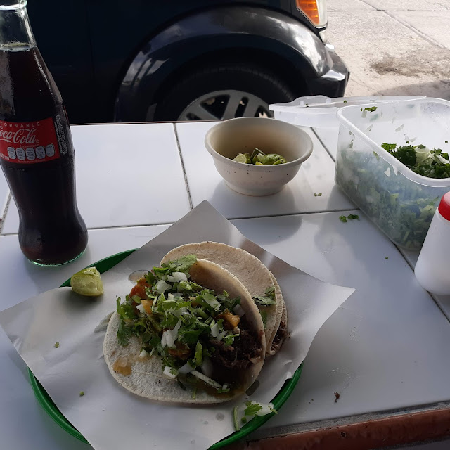 Barbecue Tacos With Corn Tortillas