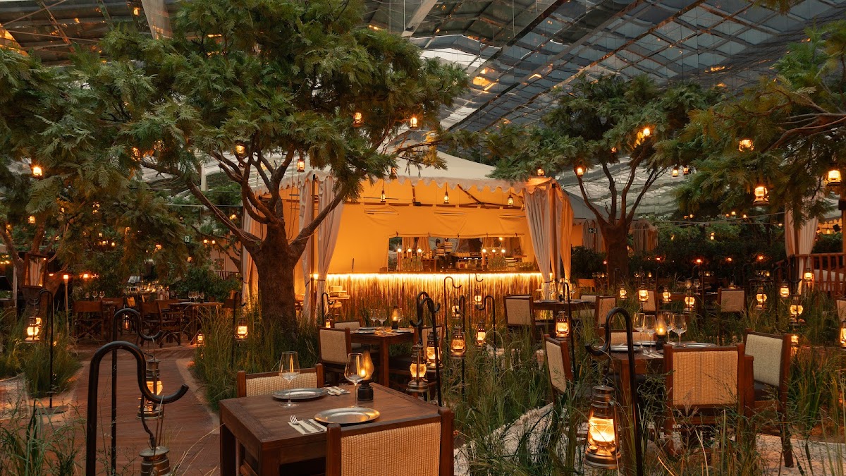 Voltereta Tanzania - Restaurante en el centro de Alicante
