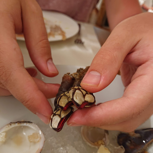 Percebes