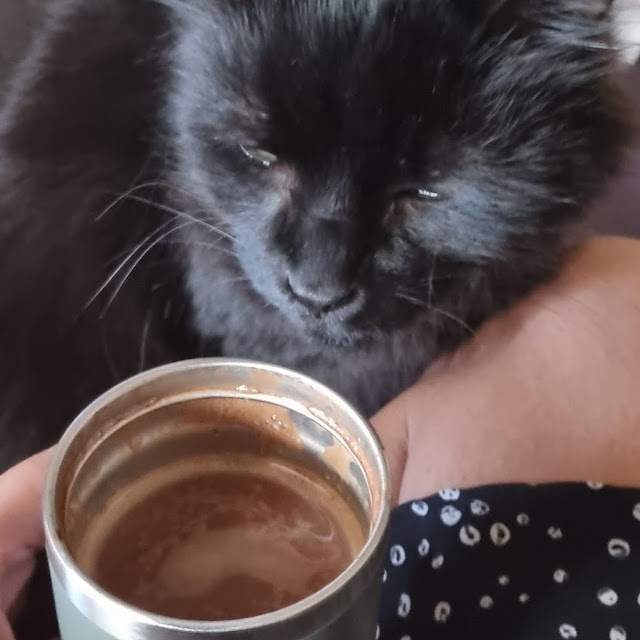 Cafe Mocha Grande