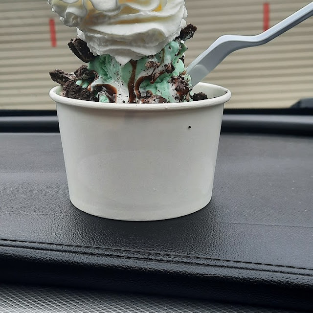 Mint Chocolate Ice Cream