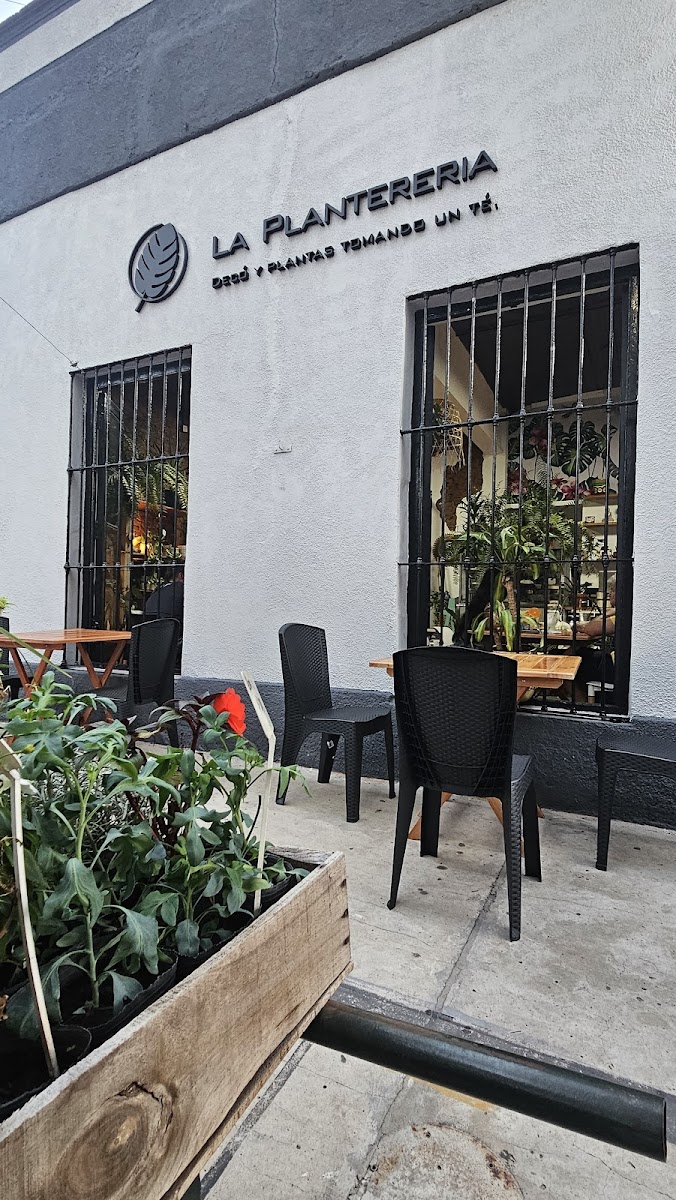 La Plantereria
