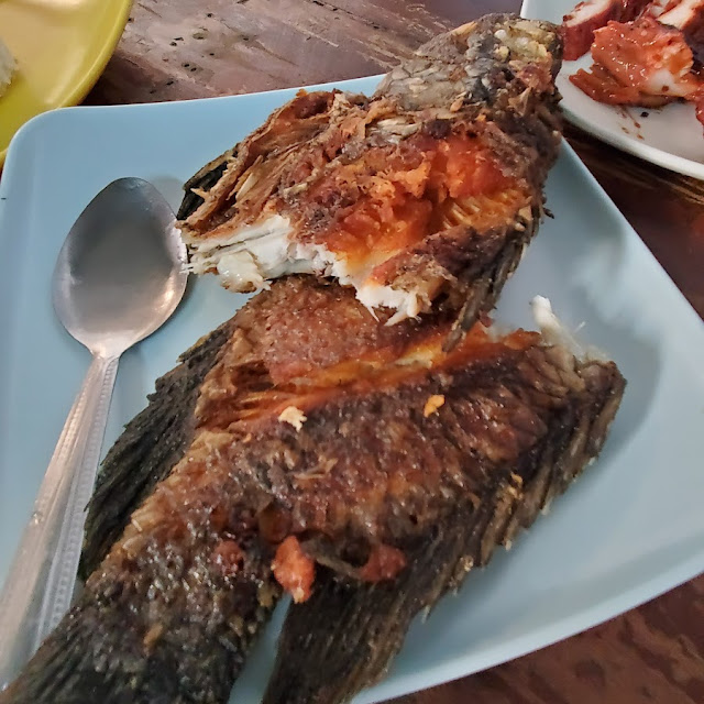 Fried Tilapia