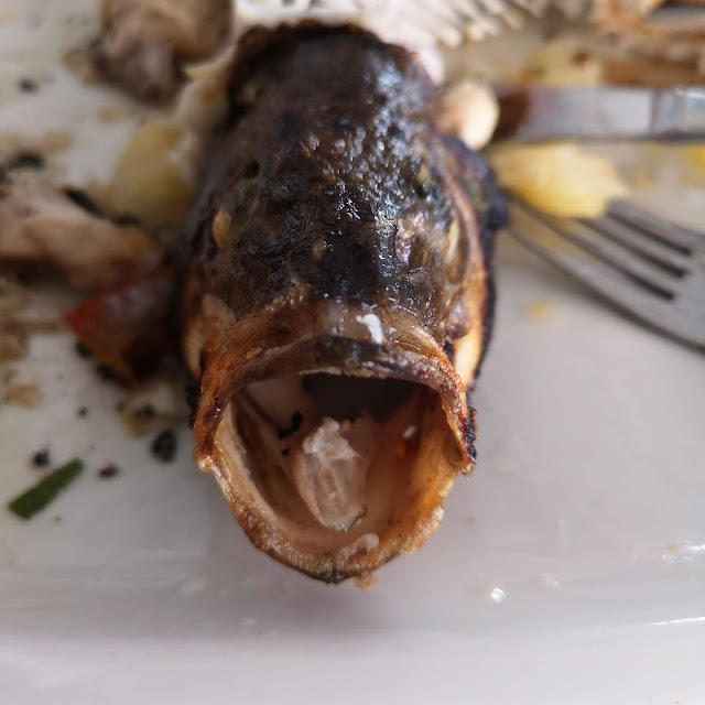 Sea Bass