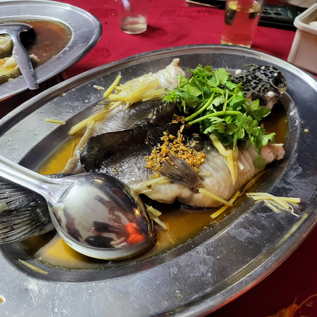 蘇丹魚