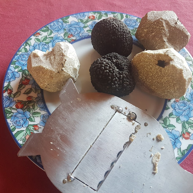 Weißer Und Schwarzer Trüffel