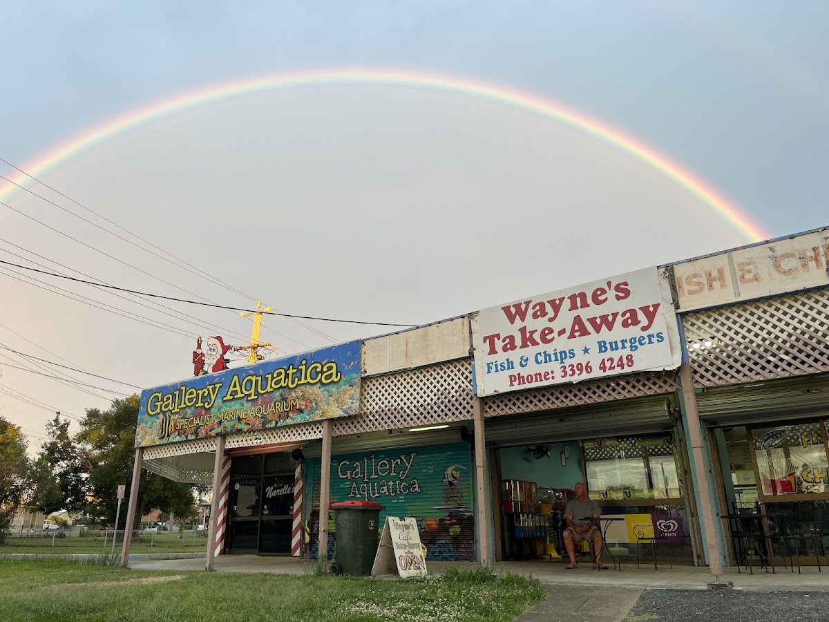 Wayne's Take Away