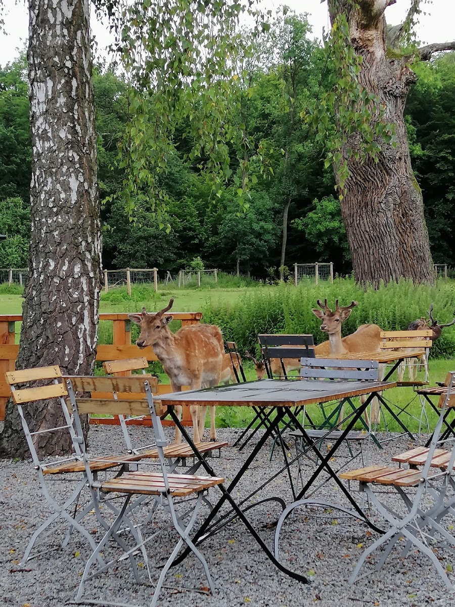 Café Im Tiergarten