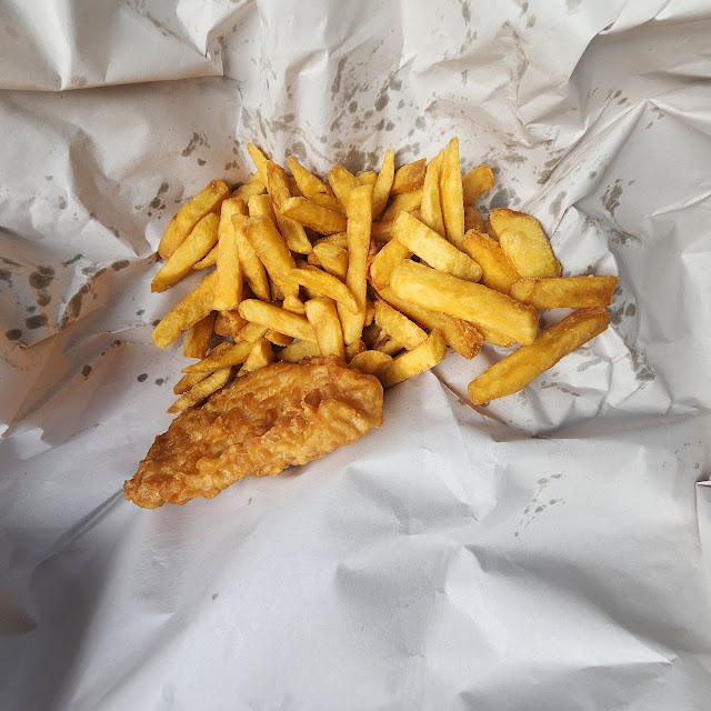 Fried Male I Nost