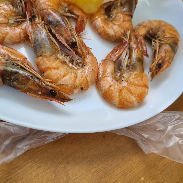 Shrimp