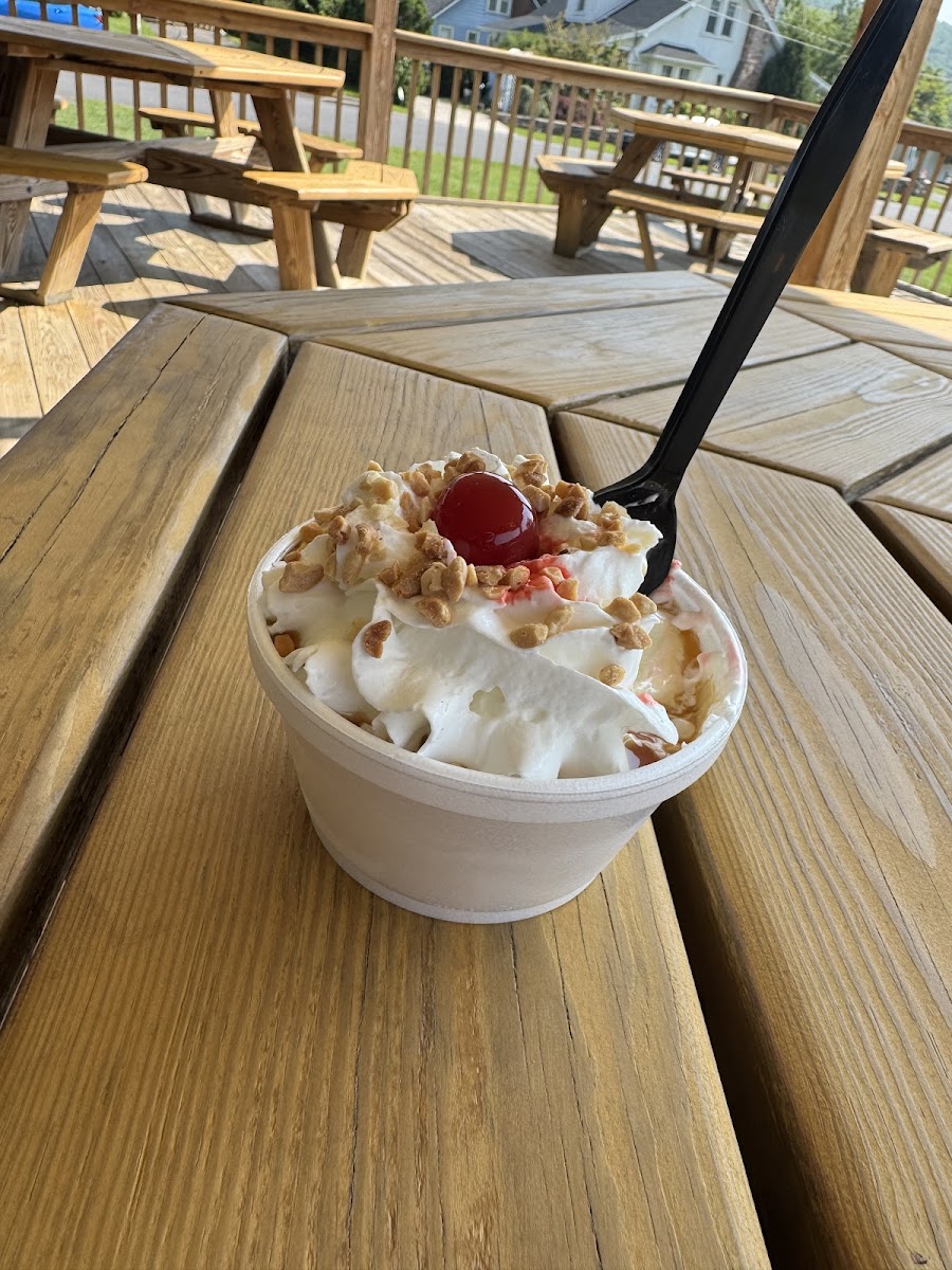 Willow Tree Ice Cream