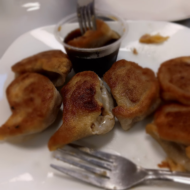 fried dumpling 8 锅贴