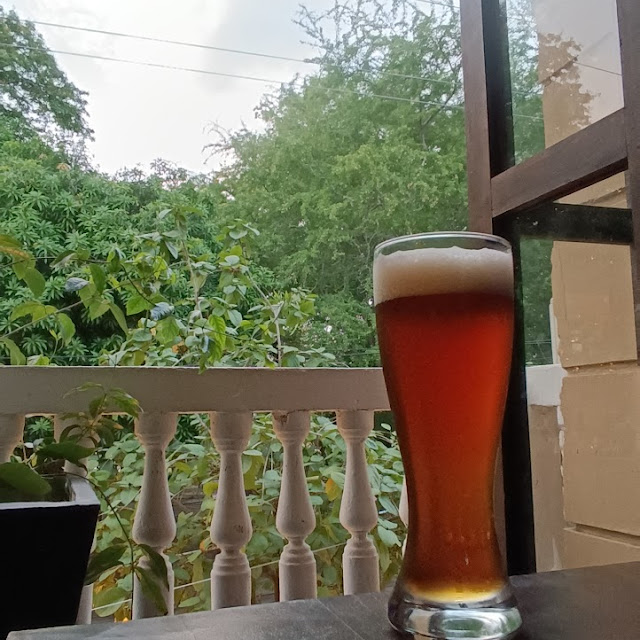 Cerveza Artesanal Roja