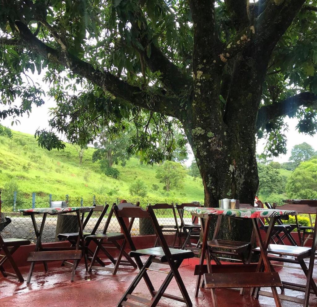 Restaurante Nova Opção - Águas de Lindóia SP