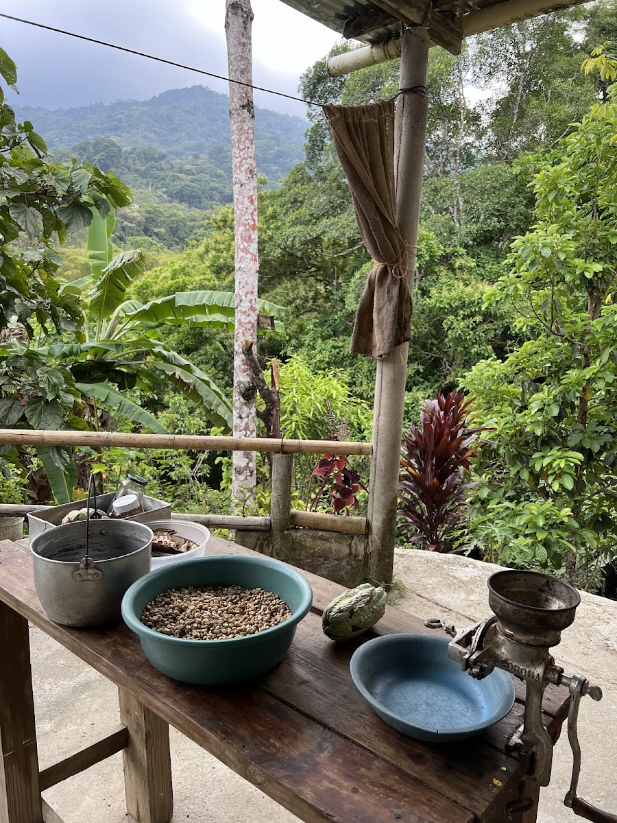 Finca de cafe y chocolate la Arhuaca