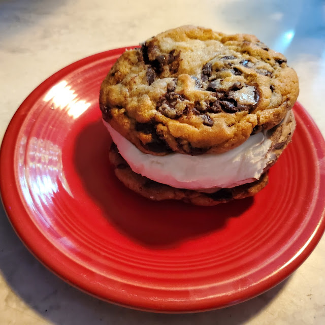 Ice Cream Cookie Sandwich