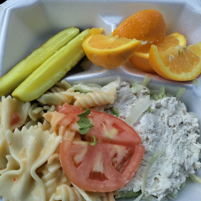 Chicken Salad and Pasta Plate