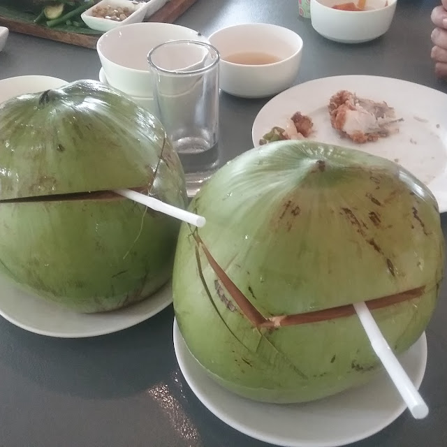 Coconut Shake