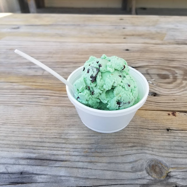 Chocolate Mint Chip Ice Cream
