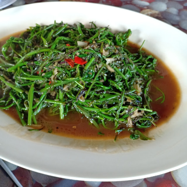 Midin Belacan