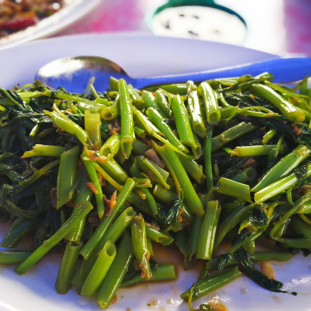 Kangkung