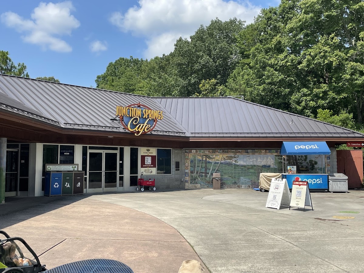 Junction Springs Cafe