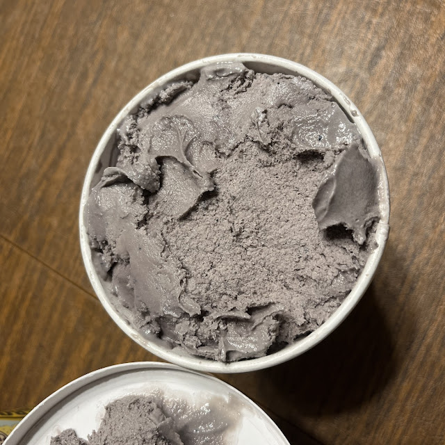 Homemade Blueberry Ice Cream