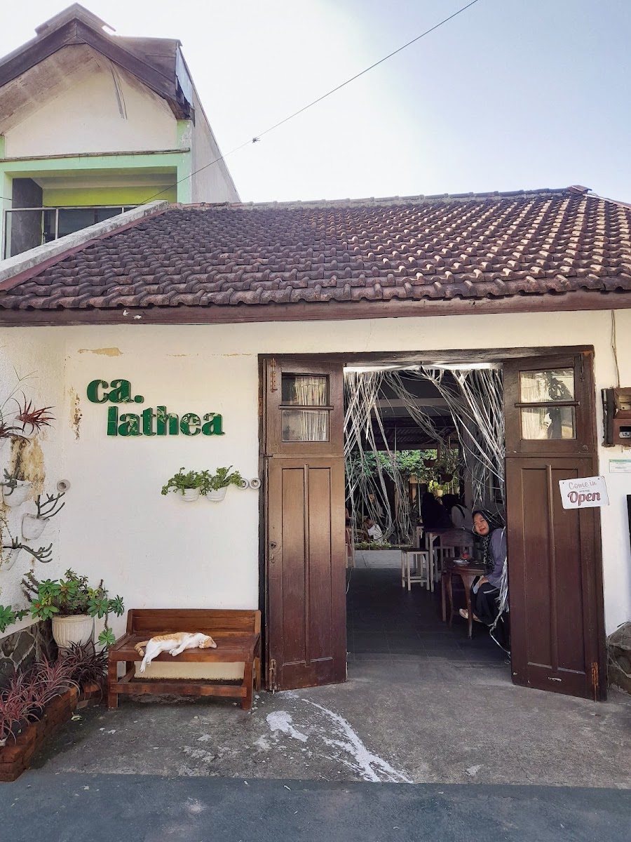 Calathea Garden