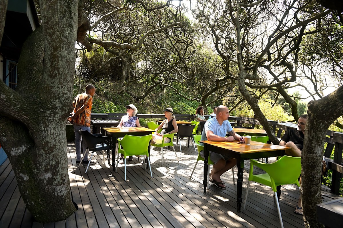 The Forest Café uMhlanga