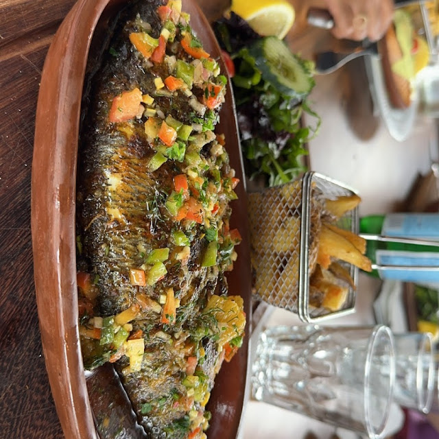 Dorade Royale
