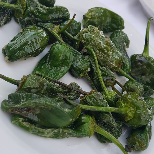 Pimientos de Padrón