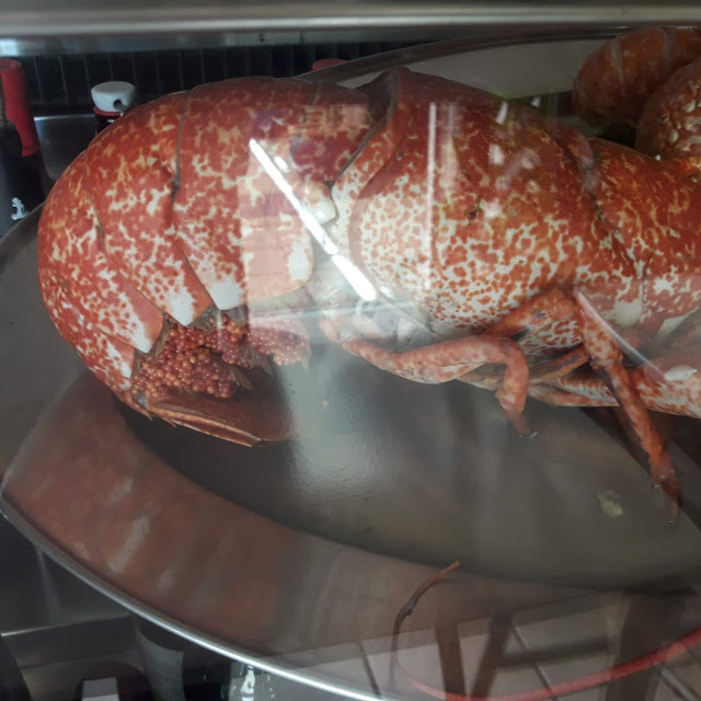 Langosta
