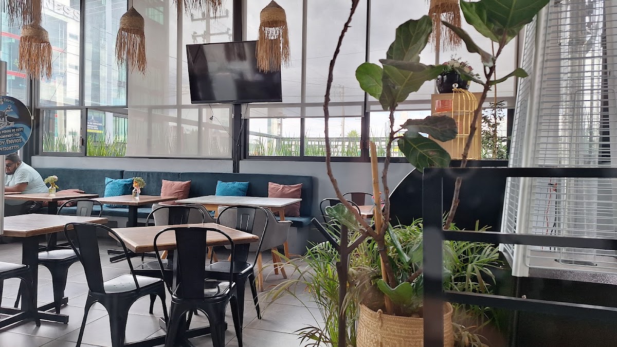 Velvet Café & Cocina