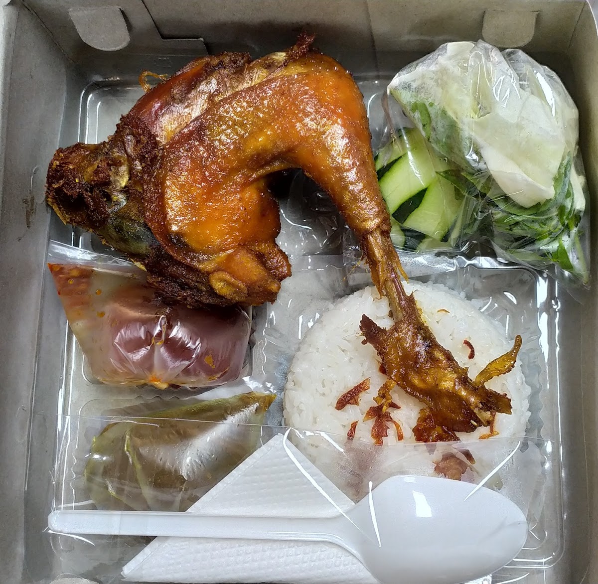Spesial Nasi Bebek Cak Gito