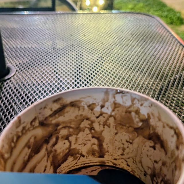 Empty Dish of Chocolate Peanut Butter Ice Cream