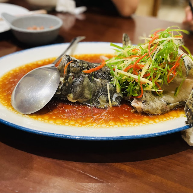 Fish Steam