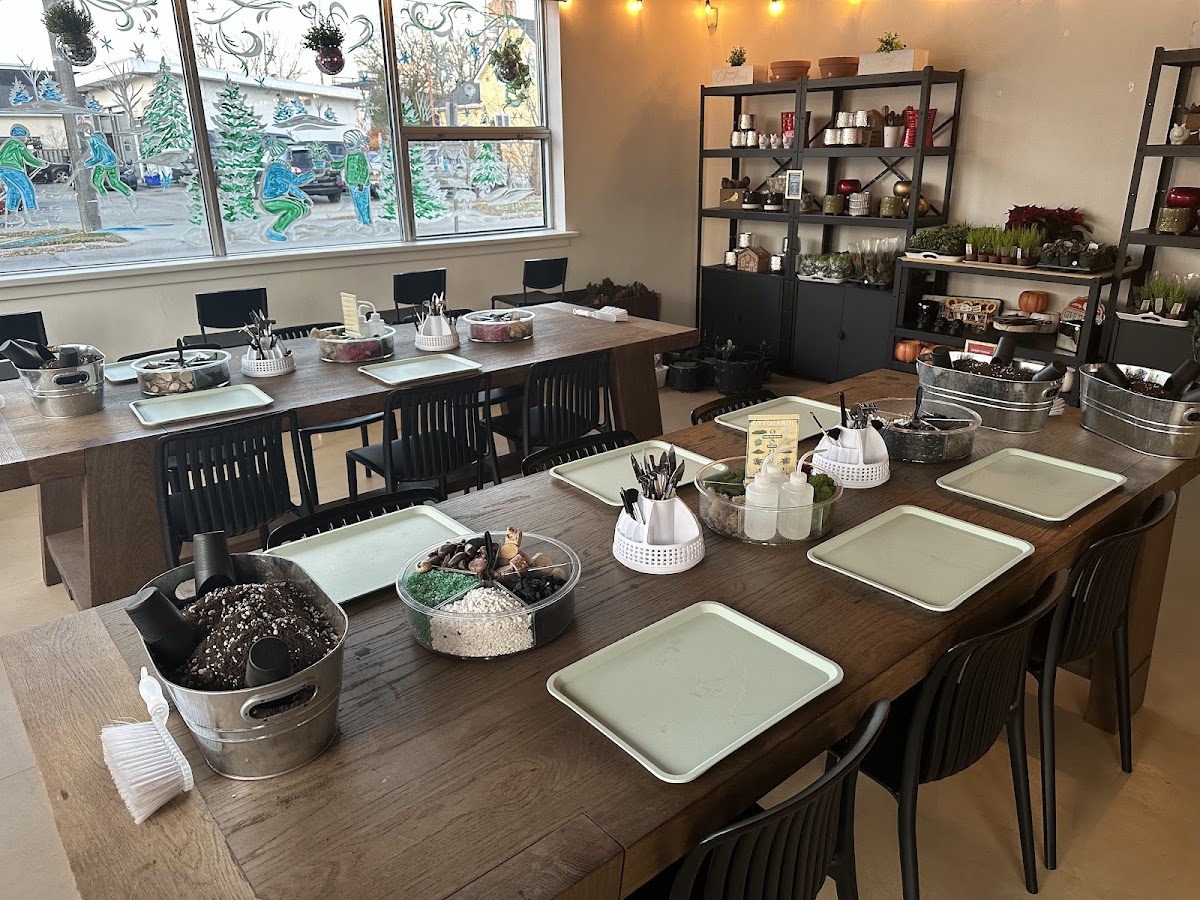 Sprout Plant Parlour & Café