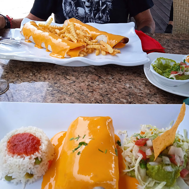 Burrito de Soja Con Salsa de Queso Vegano