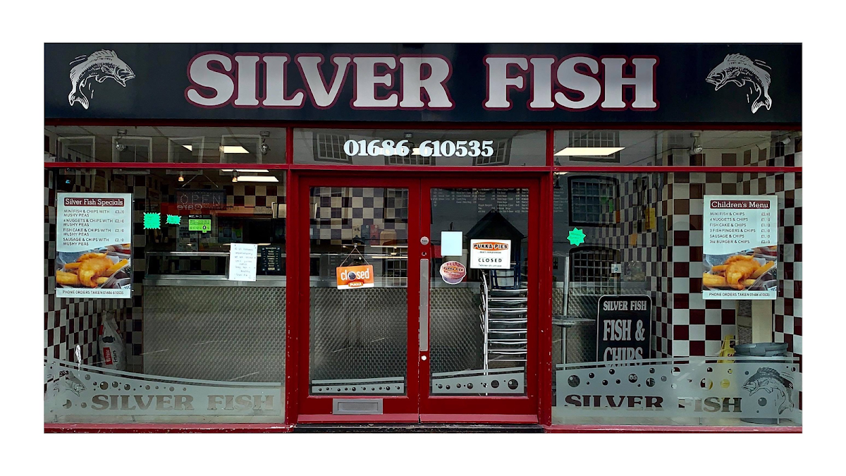 Silver Fish