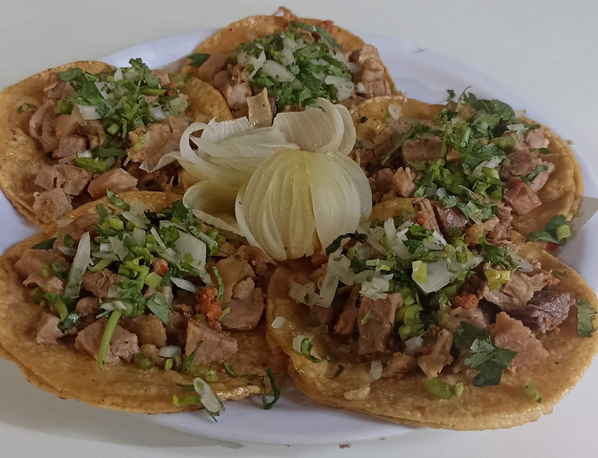 Taquería Panchini