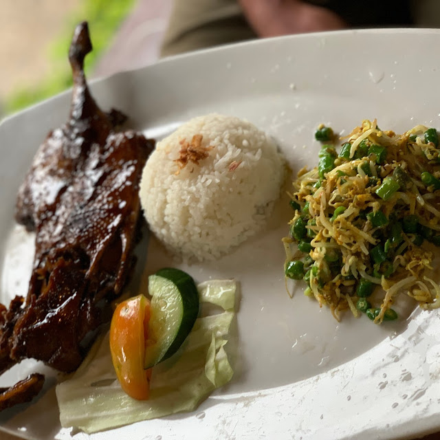 Nasi Bebek Goreng